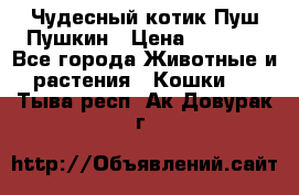 Чудесный котик Пуш-Пушкин › Цена ­ 1 200 - Все города Животные и растения » Кошки   . Тыва респ.,Ак-Довурак г.